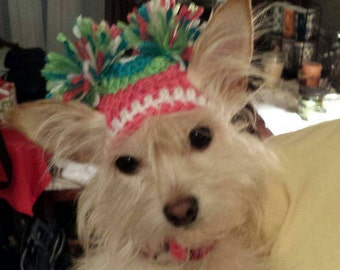 Pom Pom dog or cat pet Hat - Choose colors - 2 to 20 lb dog or cat - made to order - Need measurements