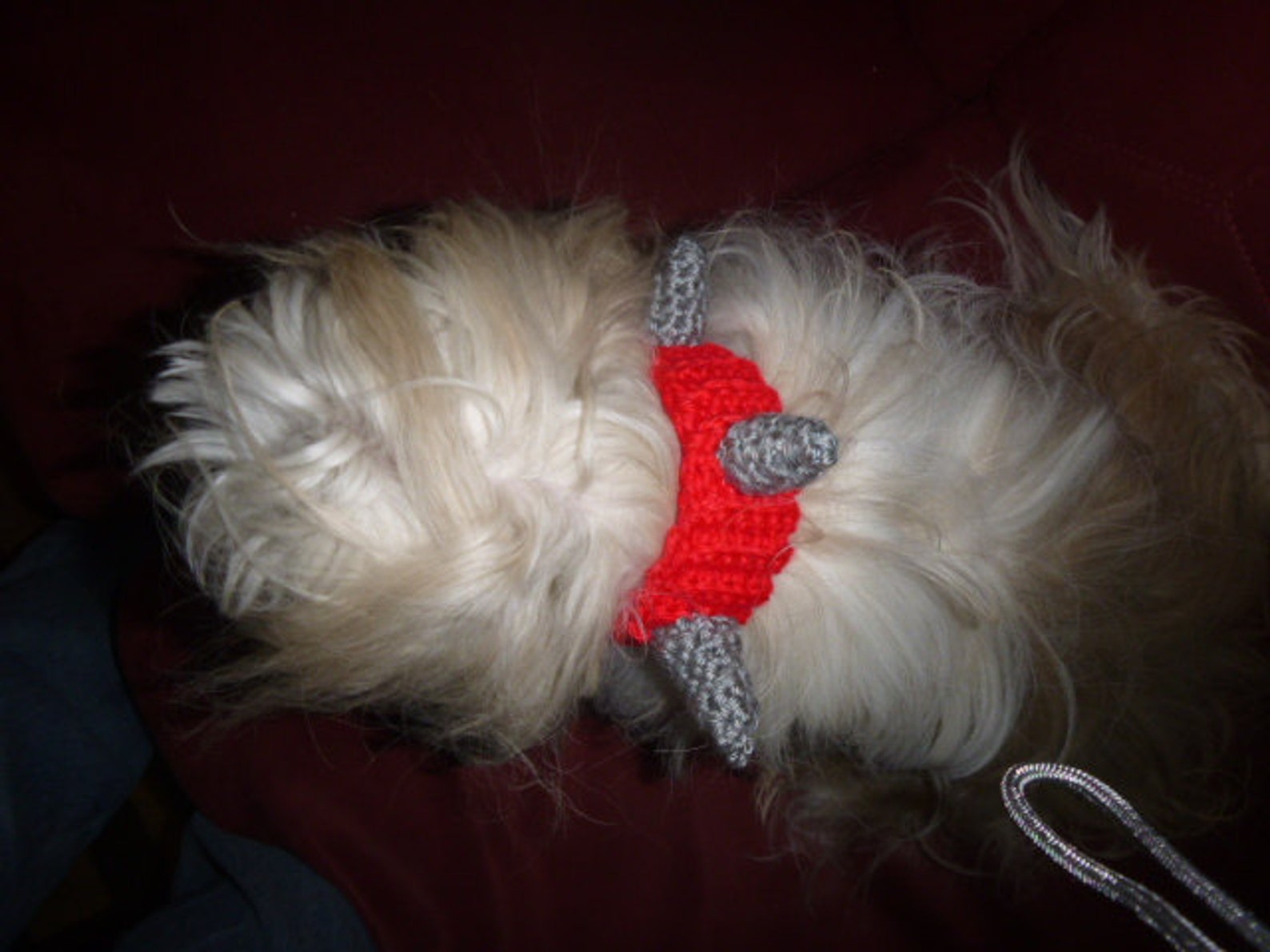 SPIKED PET COLLAR Crochet Dog Cat Humorous Made to Order Etsy