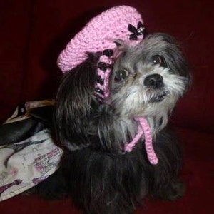 FRENCH BERET dog pet hat 2 to 20 lb dog or cat NEED measurement-many colors avail image 2