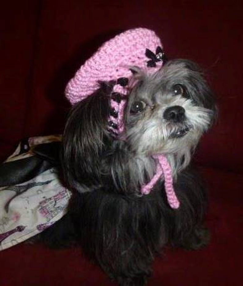 FRENCH BERET dog pet hat 2 to 20 lb dog or cat NEED measurement-many colors avail image 2