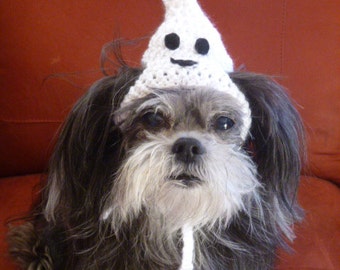Dog or Cat- Halloween GHOST or WITCH - Humorous - 2 to 20 lb pets - need measurement