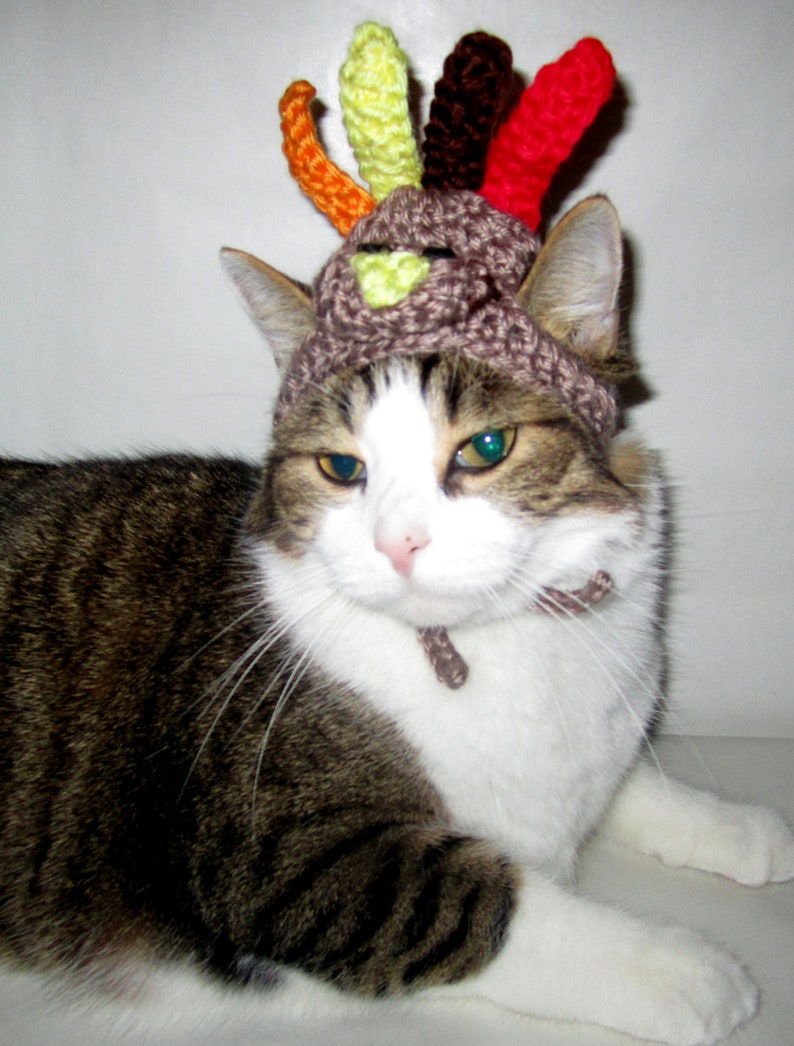 Dog Hat TURKEY Thanksgiving Pet Hat Humorous 2 to 20 Etsy
