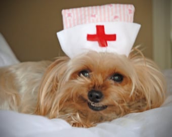 CANDY STRIPER or NURSE Dog Hat - choose - up to 20 lb dog or cat