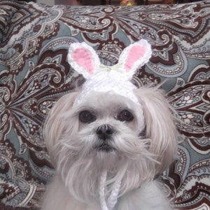 EASTER BUNNY Dog hat Humorous 2 to 20 lb pets choose color need measurement image 3