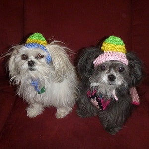 EASTER EGG-HEAD Dog hat Humorous 2 to 20 lb pets need measurement image 1