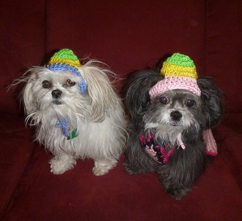 EASTER EGG-HEAD Dog hat Humorous 2 to 20 lb pets need measurement image 1