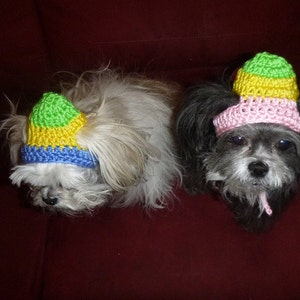 EASTER EGG-HEAD Dog hat Humorous 2 to 20 lb pets need measurement image 3