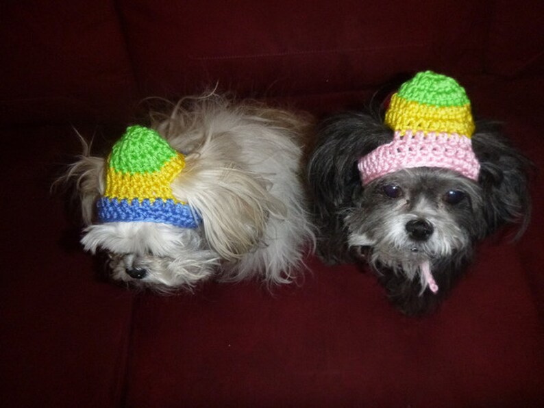 EASTER EGG-HEAD Dog hat Humorous 2 to 20 lb pets need measurement image 3