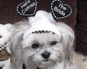 WEDDING PARTY Dog hat - Here Comes The Bride - Floating Hearts - 2 to 20 lb pets-made to order