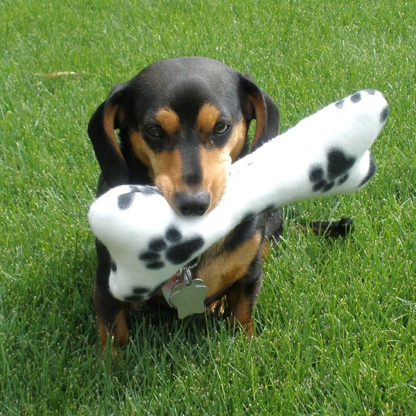 JUMBO - DOUBLE SQUEAKER - Dog Bone Toy - many colors