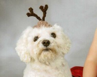 Dog hat - REINDEER - Christmas pet hat - Humorous - 2 to 20 lb pets