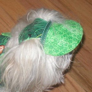 May include: Green and white patterned dog hat with a brim. The hat is made of fabric and has a white stitching detail around the brim.