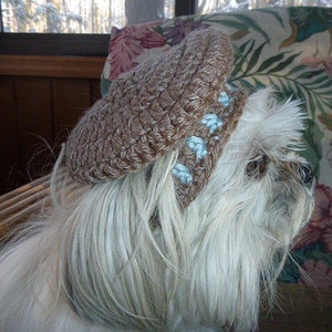 FRENCH BERET dog pet hat - 2 to 20 lb dog or cat - NEED measurement-many colors avail