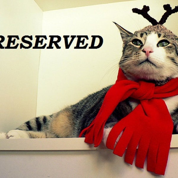 RESERVED for Lynn - REINDEER pet hat WITH scarf - Christmas - Humorous - 2 to 20 lb pets - need measurement