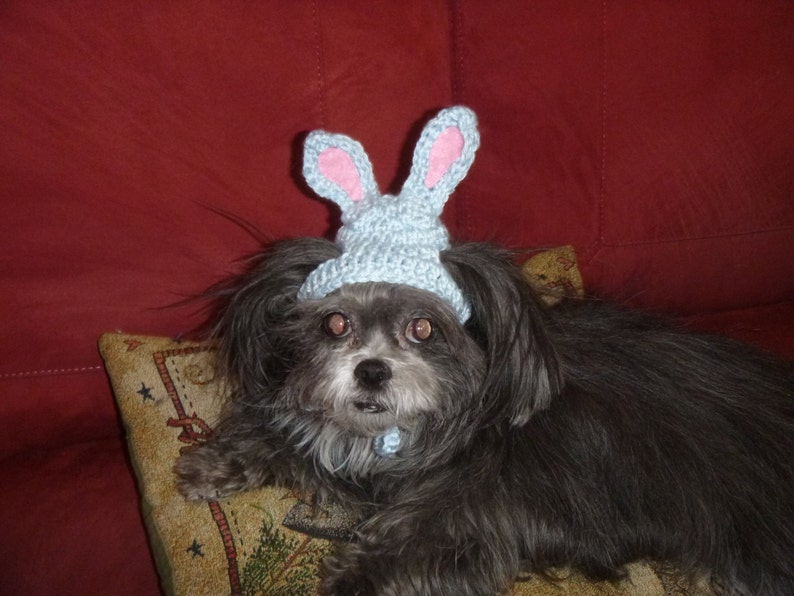 EASTER BUNNY Dog hat Humorous 2 to 20 lb pets choose color need measurement image 4