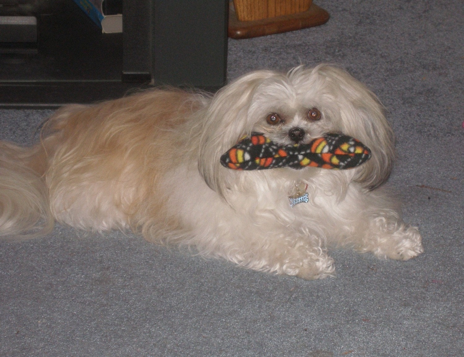 Hubby Stuffed DOG BONE SQUEAKER Toy Choose Color and Size M or Etsy