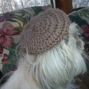 FRENCH BERET dog pet hat 2 to 20 lb dog or cat NEED measurement-many colors avail image 3