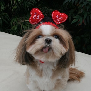 FLOATING HEARTS WEDDING or Valentine Dog hat Humorous 2 to 20 lb pets-made to order image 1