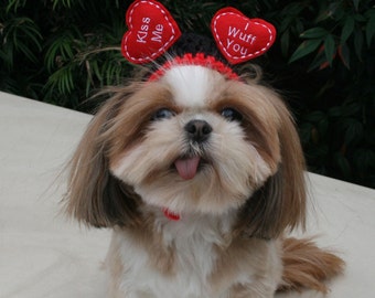 FLOATING HEARTS - WEDDING or Valentine Dog hat - Humorous - 2 to 20 lb pets-made to order