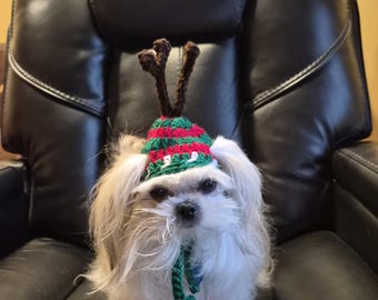 Dog Pet hat - REINDEER wearing Ugly Christmas sweater hat - Funny Antlers - 2 - 60 lbs -Made to Order