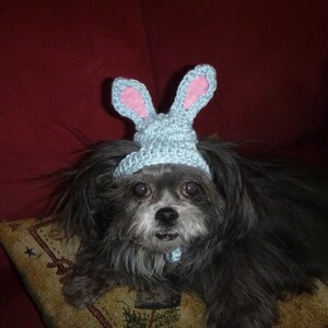 EASTER EGG-HEAD Dog hat Humorous 2 to 20 lb pets need measurement image 4