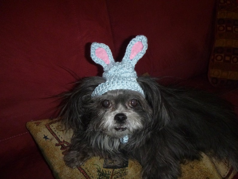 EASTER EGG-HEAD Dog hat Humorous 2 to 20 lb pets need measurement image 4