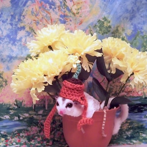 May include: A small sugar glider wearing a red crocheted hat with a green stem on top, sitting in a terracotta pot surrounded by yellow carnations. The sugar glider is white with black eyes and a pink nose.