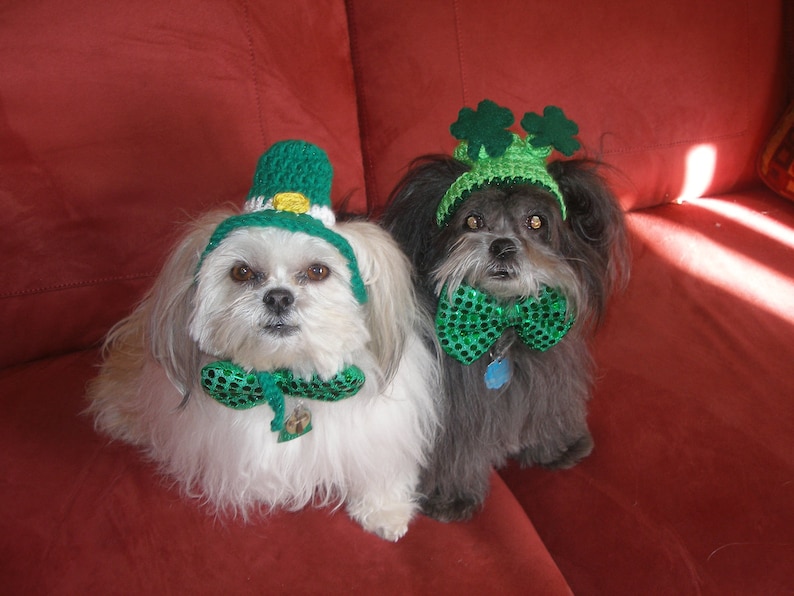 LEPRECHAUN TOP HAT St Patricks Day Dog Hat Humorous 2 to Etsy