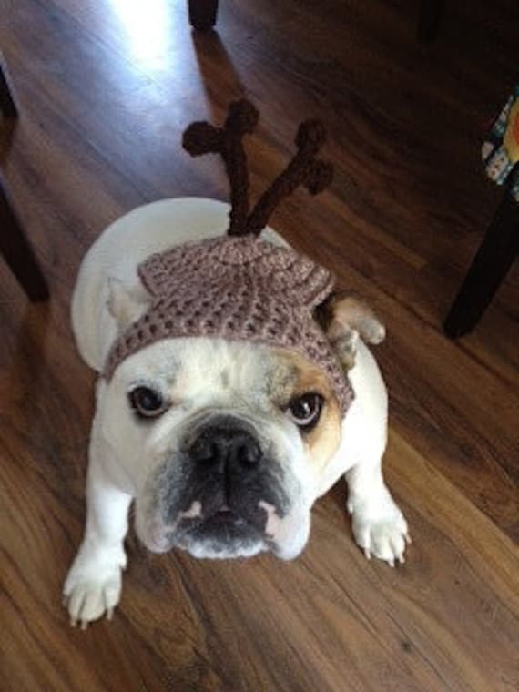 Dog Hat REINDEER L/XL-41-60 Lbs Christmas Pet Hat - Etsy