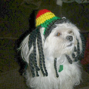 May include: A small, white dog wearing a crocheted hat in the colors of red, yellow, and green, with black dreadlocks. The dog has a green tag on its collar and is looking upwards.