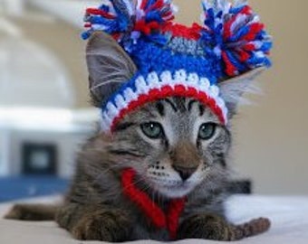 TEAM sport CHEERLEADER Hat - 2 to 20 lb dog or cat