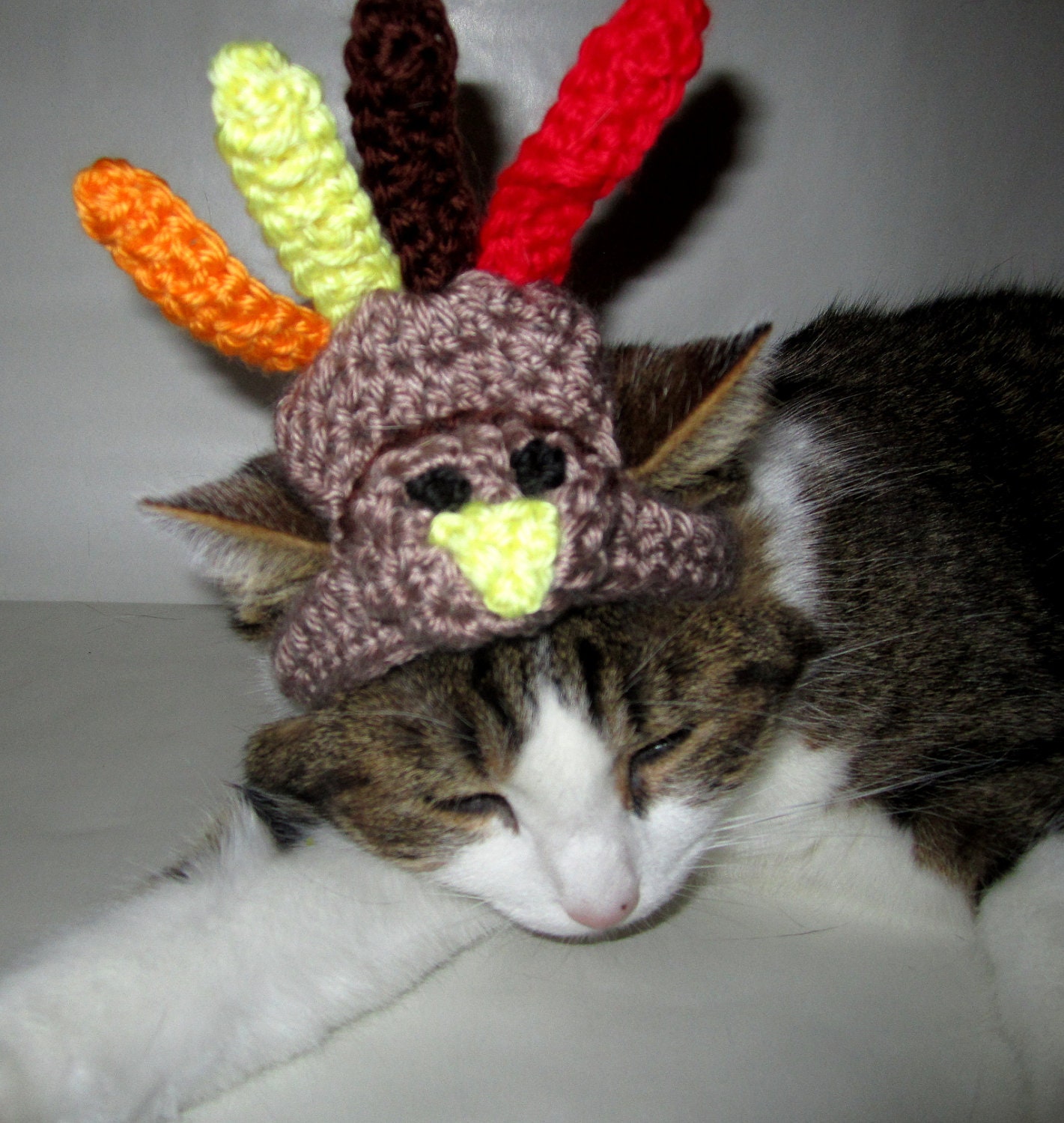 Thanksgiving Turkey Headband For Pets - Funny Cat & Dog Holiday Hat Costume - View #9