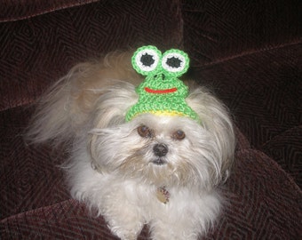 Dog hat - HOPPY FROG hat - Humorous - 2 to 20 lb pets - need measurement