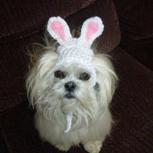 EASTER BUNNY Dog hat Humorous 2 to 20 lb pets choose color need measurement image 5