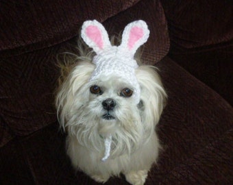 EASTER BUNNY Dog hat - Humorous - 2 to 20 lb pets - choose color - need measurement