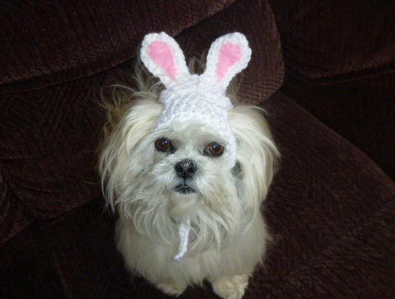 EASTER BUNNY Dog hat Humorous 2 to 20 lb pets choose color need measurement image 5