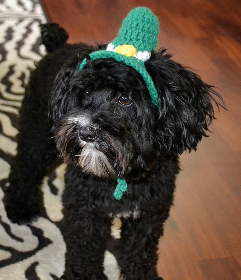 LEPRECHAUN TOP HAT St Patricks Day Dog Hat Humorous 2 to Etsy