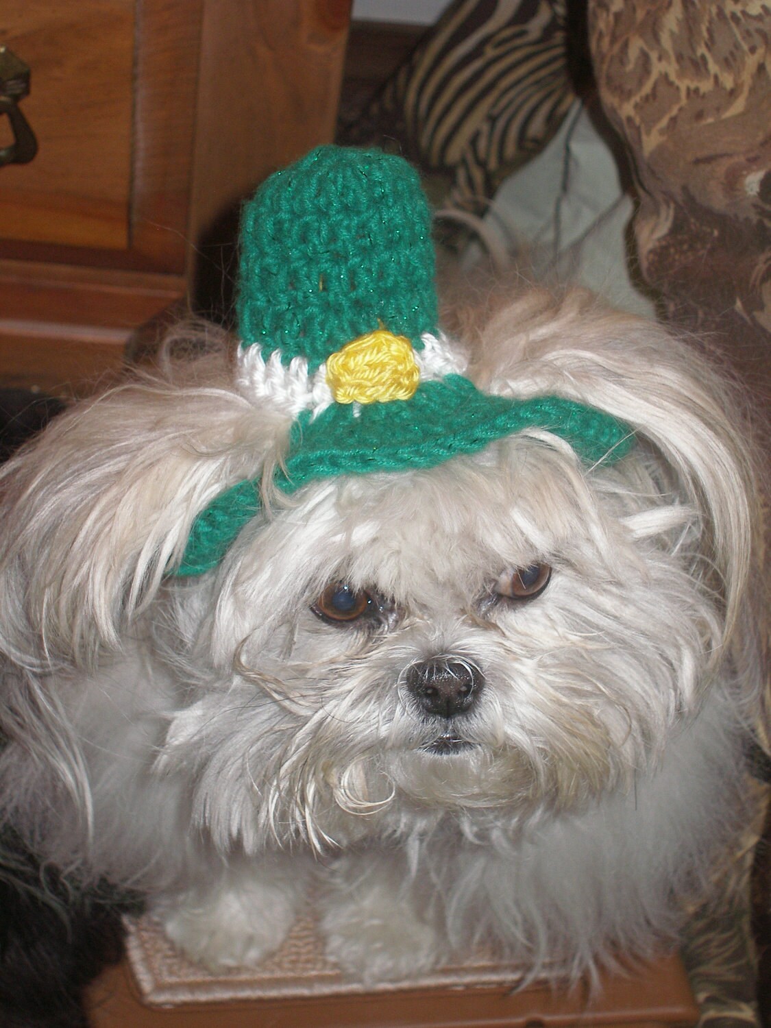 LEPRECHAUN TOP HAT St Patricks Day Dog Hat Humorous 2 to Etsy