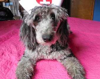 NURSE or CANDY STRIPER Dog Hat - choose - up to 20 lb dog or cat