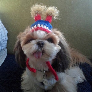 4th of July Firecracker hat - or Americana Star - 2 to 20 lb dog or cat