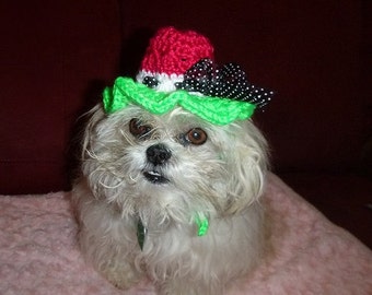 WATERMELON BONNET Dog hat - Cat hat - Humorous - 2 to 20 lb pets -  need measurement