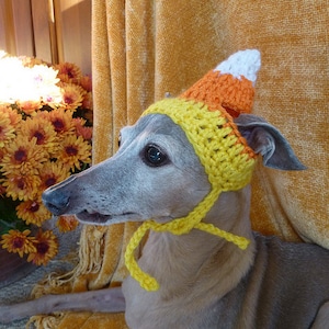 Dog hat CANDY CORN Thanksgiving pet hat Humorous 2 to 60 lb pets need measurement image 1