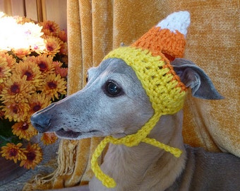 Dog hat - CANDY CORN - Thanksgiving pet hat - Humorous - 2 to 60 lb pets -  need measurement