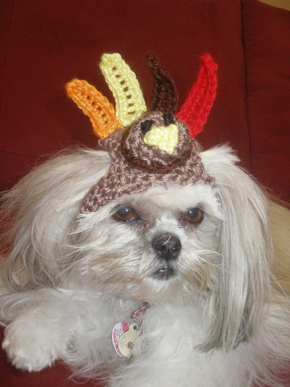 Dog Hat TURKEY Thanksgiving Pet Hat 