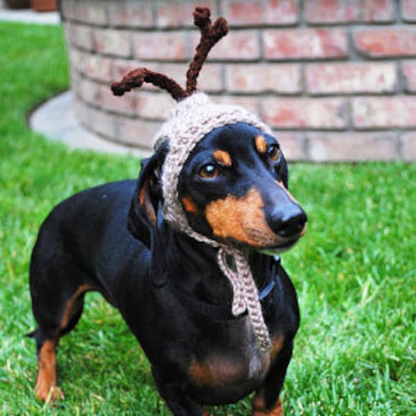 Dog Pet hat - REINDEER - Christmas pet hat - Humorous Funny Antlers - 2 - 60 lbs -Made to Order