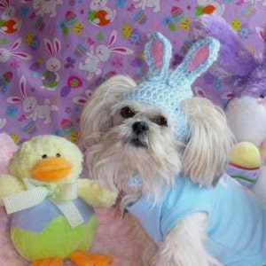EASTER BUNNY Dog hat Humorous 2 to 20 lb pets choose color need measurement image 1