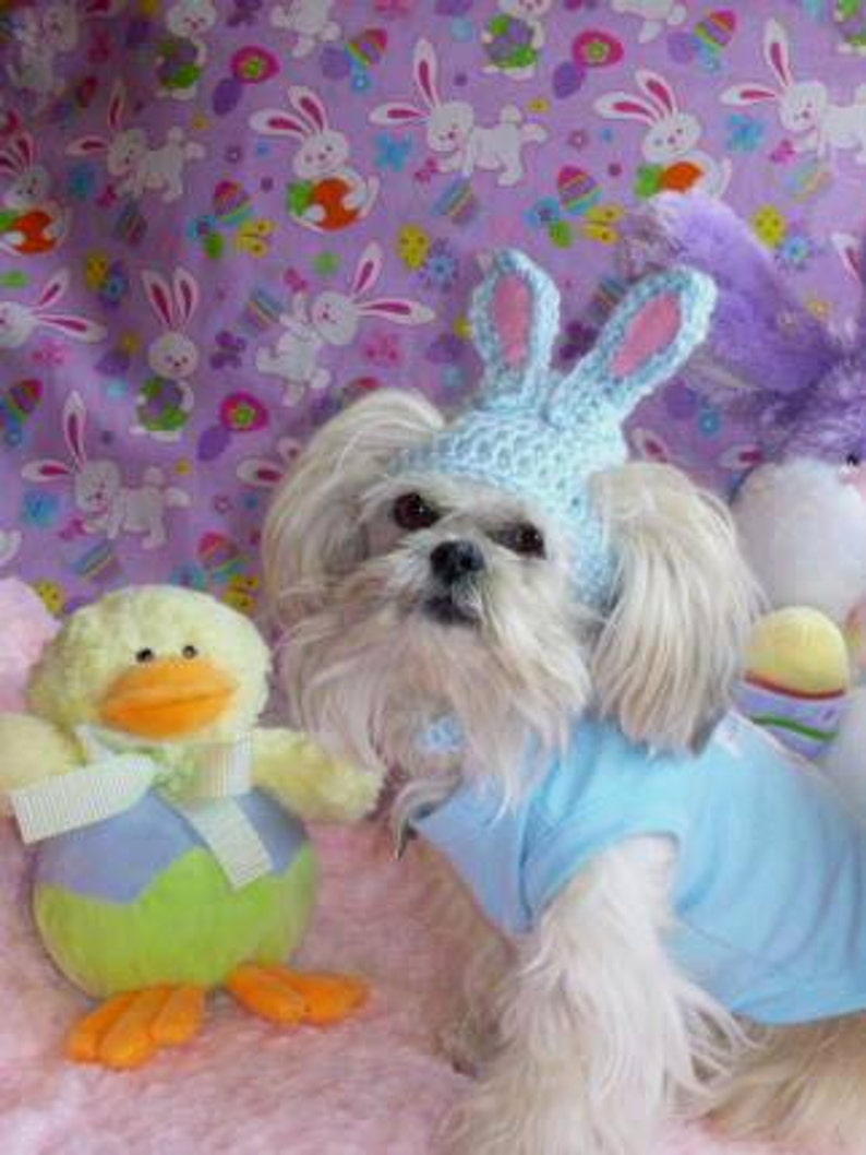 EASTER BUNNY Dog hat Humorous 2 to 20 lb pets choose color need measurement image 1