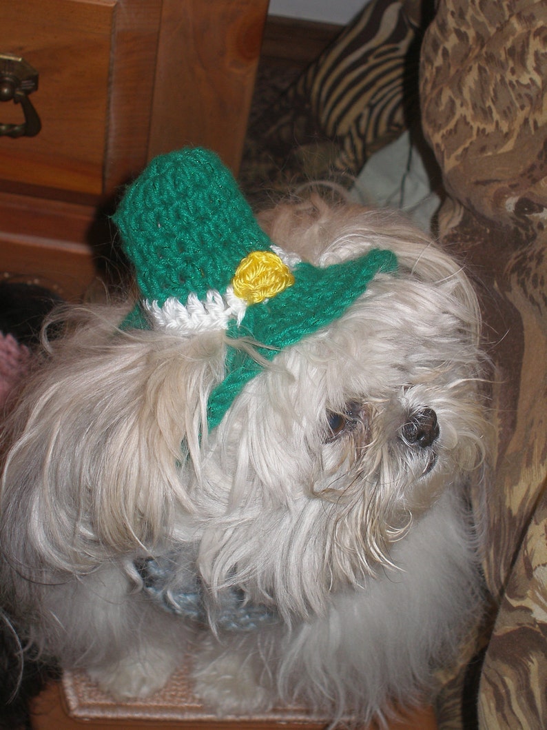 LEPRECHAUN TOP HAT St Patricks Day Dog Hat Humorous 2 to Etsy