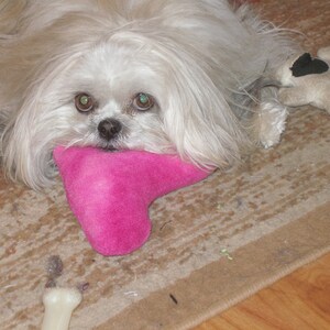 HE STOLE My HEART - Fun Squeaker Toy - Choose pink or red