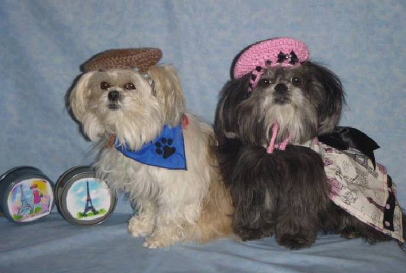 FRENCH BERET dog pet hat 2 to 20 lb dog or cat NEED measurement-many colors avail image 4